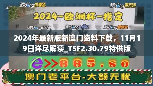 2024年最新版新澳门资料下载，11月19日详尽解读_TSF2.30.79特供版