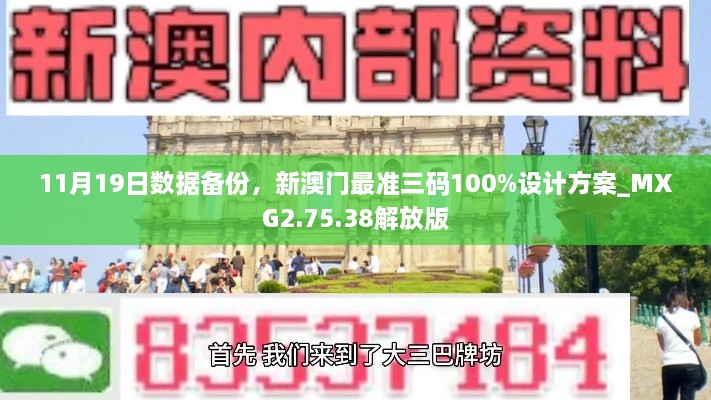 11月19日数据备份，新澳门最准三码100%设计方案_MXG2.75.38解放版