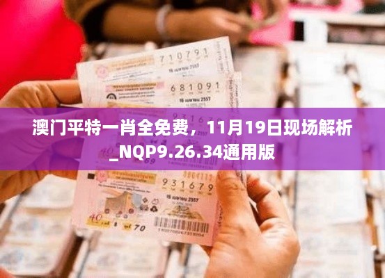 澳门平特一肖全免费，11月19日现场解析_NQP9.26.34通用版