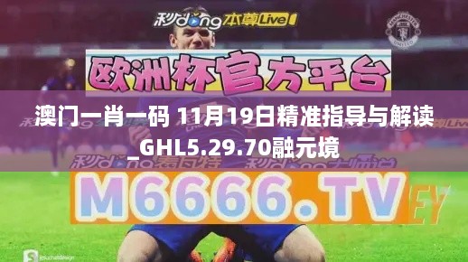 澳门一肖一码 11月19日精准指导与解读_GHL5.29.70融元境