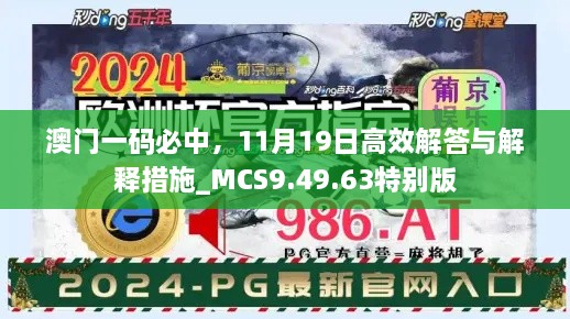 澳门一码必中，11月19日高效解答与解释措施_MCS9.49.63特别版