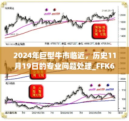 2024年巨型牛市临近，历史11月19日的专业问题处理_FFK6.44.26铂金版