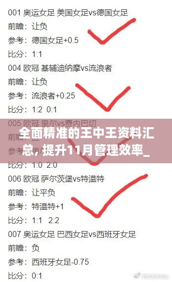 全面精准的王中王资料汇总, 提升11月管理效率_FIH3.66.78艺术版