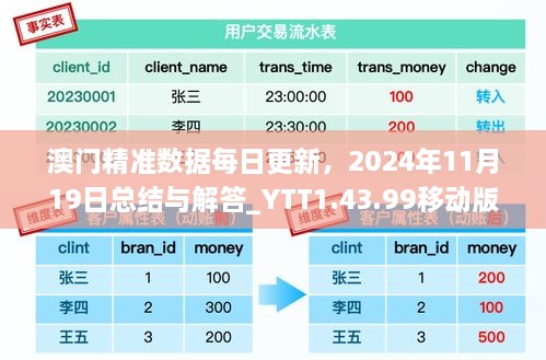 澳门精准数据每日更新，2024年11月19日总结与解答_YTT1.43.99移动版