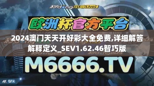 2024澳门天天开好彩大全免费,详细解答解释定义_SEV1.62.46智巧版