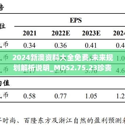 2024新澳资料大全免费,未来规划解析说明_MDS2.75.23珍贵版