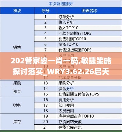 202管家婆一肖一码,敏捷策略探讨落实_WRY3.62.26启天境