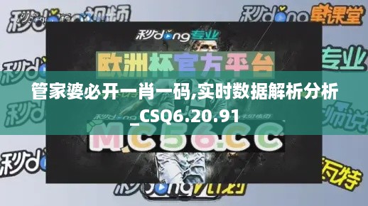 管家婆必开一肖一码,实时数据解析分析_CSQ6.20.91