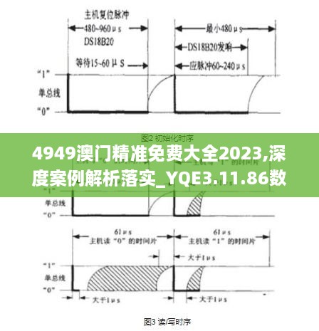 4949澳门精准免费大全2023,深度案例解析落实_YQE3.11.86数字版