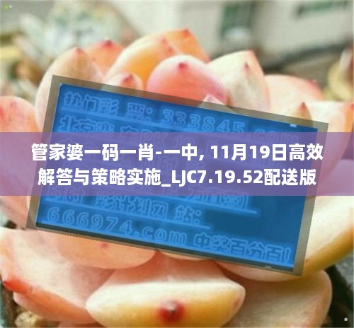 管家婆一码一肖-一中, 11月19日高效解答与策略实施_LJC7.19.52配送版