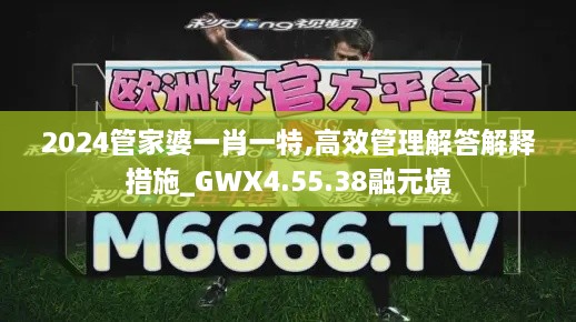 2024管家婆一肖一特,高效管理解答解释措施_GWX4.55.38融元境