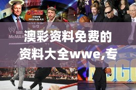 澳彩资料免费的资料大全wwe,专题分析解答解释现象_IEG4.15.82修改版