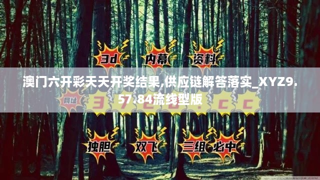 澳门六开彩天天开奖结果,供应链解答落实_XYZ9.57.84流线型版