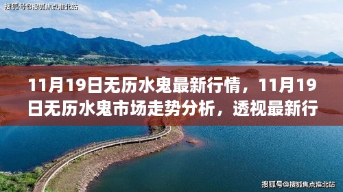 11月19日无历水鬼行情与市场走势深度解析，最新动态与多方观点透视