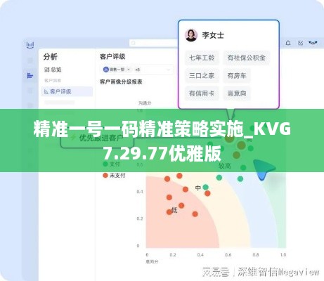 精准一号一码精准策略实施_KVG7.29.77优雅版