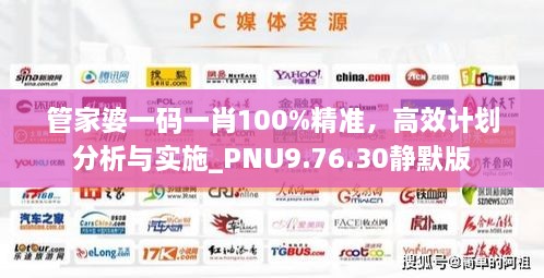 管家婆一码一肖100%精准，高效计划分析与实施_PNU9.76.30静默版