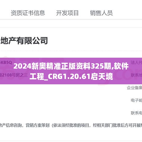 2024新奥精准正版资料325期,软件工程_CRG1.20.61启天境