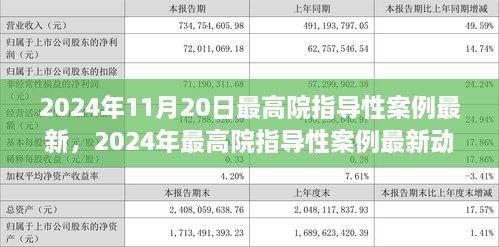 聚焦某某观点，解读最高院指导性案例最新动向与解析（2024年）