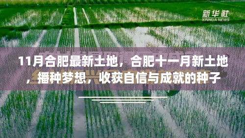 合肥十一月新土地，播种梦想，收获自信与成就的种子之旅