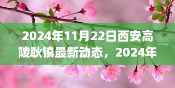 2024年11月22日西安高陵耿镇最新动态探索指南，从初学到进阶的全面攻略