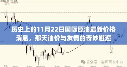 11月22日国际原油最新价格动态，油价与友情的独特交汇点