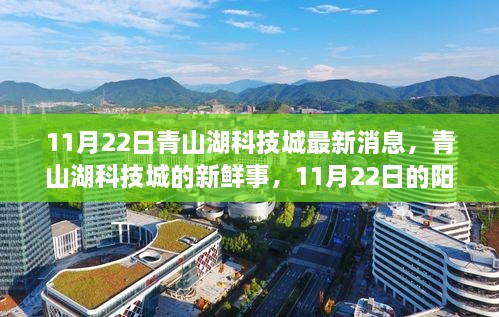 青山湖科技城新鲜事，阳光下的友情与最新发展消息速递