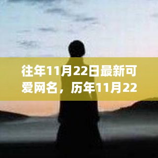 历年11月22日流行可爱网名解析与价值探索，个性表达与时尚风向标