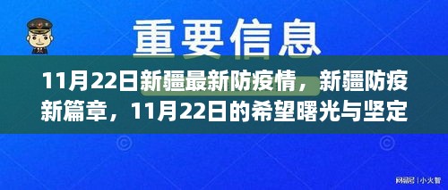 新疆防疫新篇章，11月22日的希望曙光与坚定步伐