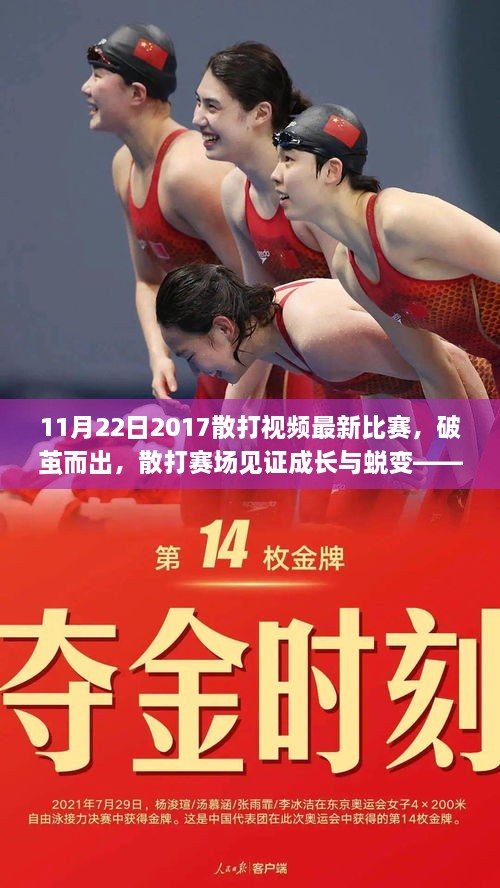 破茧而出，见证成长与蜕变——2017年11月22日散打比赛精彩回顾