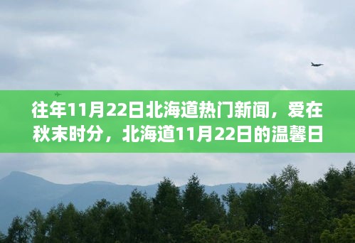 秋末时分北海道的温馨日常，11月22日热门新闻与爱的传递