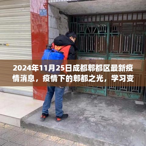 2024年成都郫都区最新疫情动态，学习变化的力量与乐观前行在疫情期间