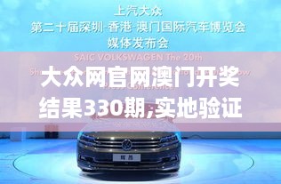 大众网官网澳门开奖结果330期,实地验证实施_体验版EXT11.39