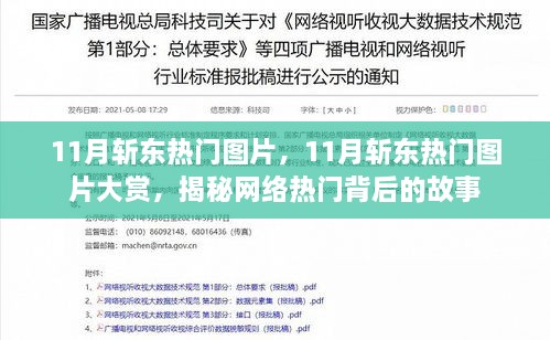 揭秘网络热门背后的故事，11月斩东热门图片大赏