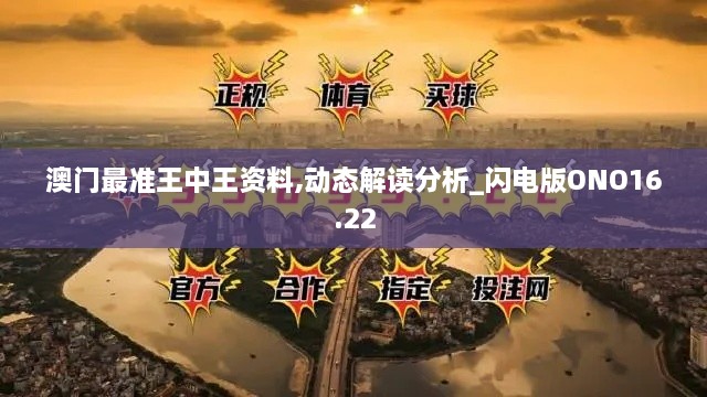 澳门最准王中王资料,动态解读分析_闪电版ONO16.22