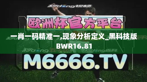 一肖一码精准一,现象分析定义_黑科技版BWR16.81