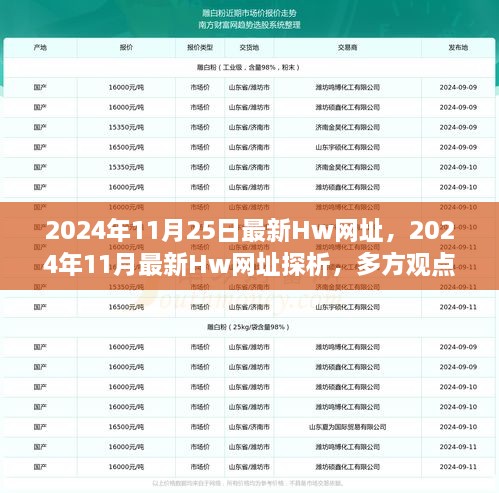 2024年最新Hw网址探析，多方观点融合的思考