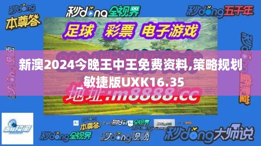 新澳2024今晚王中王免费资料,策略规划_敏捷版UXK16.35