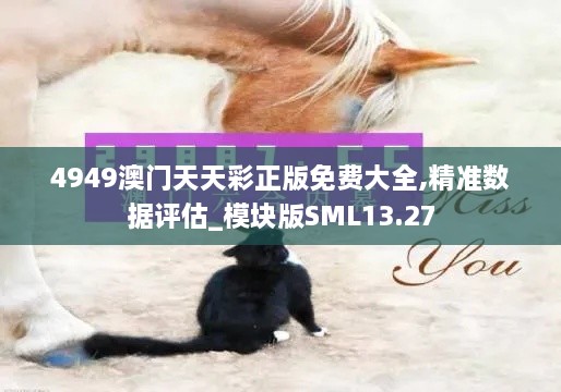 4949澳门天天彩正版免费大全,精准数据评估_模块版SML13.27