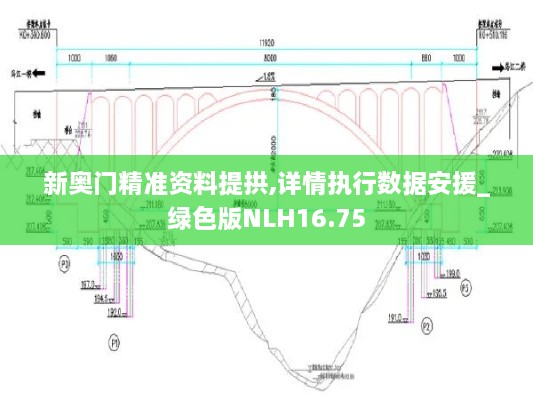 新奥门精准资料提拱,详情执行数据安援_绿色版NLH16.75