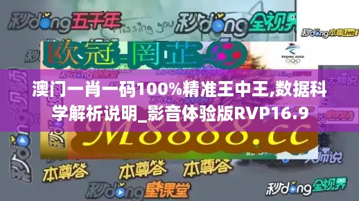 澳门一肖一码100%精准王中王,数据科学解析说明_影音体验版RVP16.9