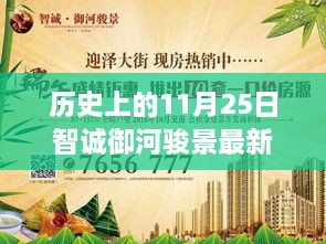 历史上的11月25日智诚御河骏景最新报价指南，全方位查询教程，从入门到精通