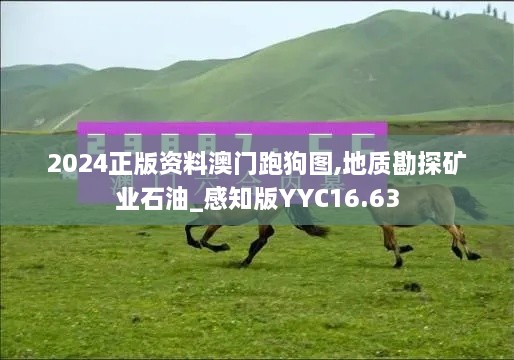 2024正版资料澳门跑狗图,地质勘探矿业石油_感知版YYC16.63