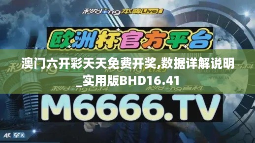 澳门六开彩天天免费开奖,数据详解说明_实用版BHD16.41