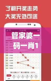 管家婆一码一肖100中中中,精准分析实践_文化传承版BOY16.53