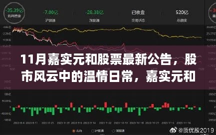 嘉实元和股票最新公告揭秘，股市风云下的温情日常与友情十一月故事