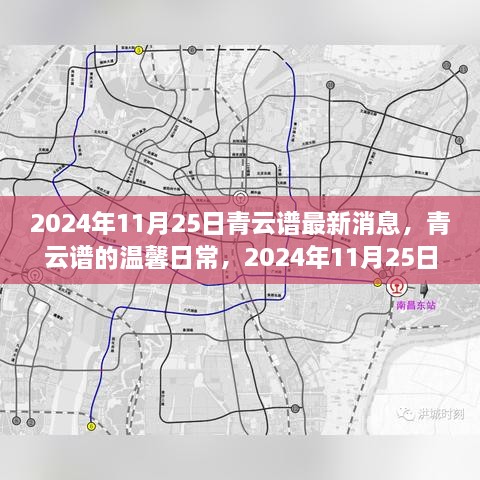 青云谱2024年11月25日最新消息，日常温馨与奇遇的情感纽带