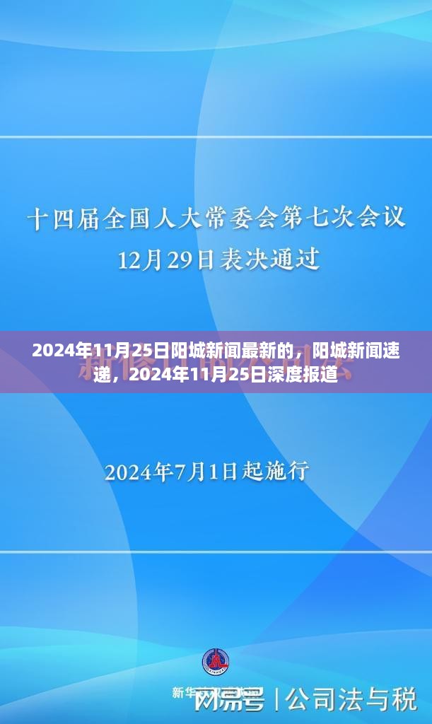 2024年11月25日阳城新闻深度报道，最新消息速递