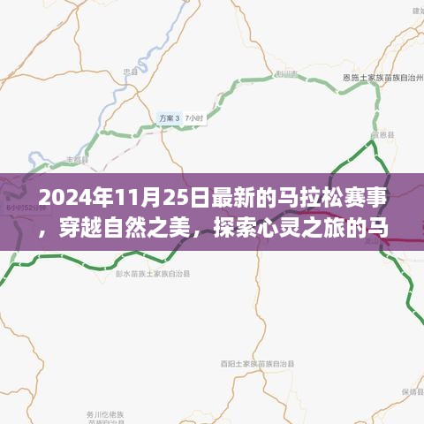 心灵之旅，穿越自然之美的马拉松赛道——最新赛事报道（2024年11月25日）