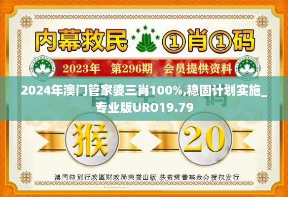 2024年澳门管家婆三肖100%,稳固计划实施_专业版URO19.79