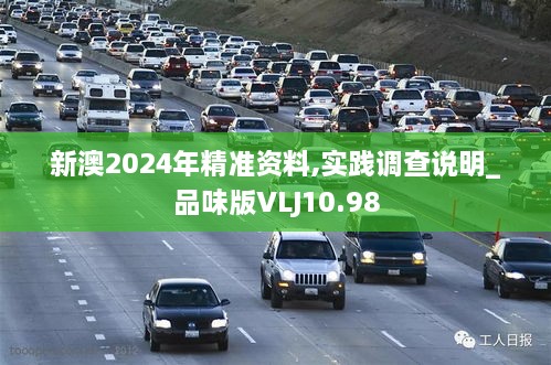 新澳2024年精准资料,实践调查说明_品味版VLJ10.98